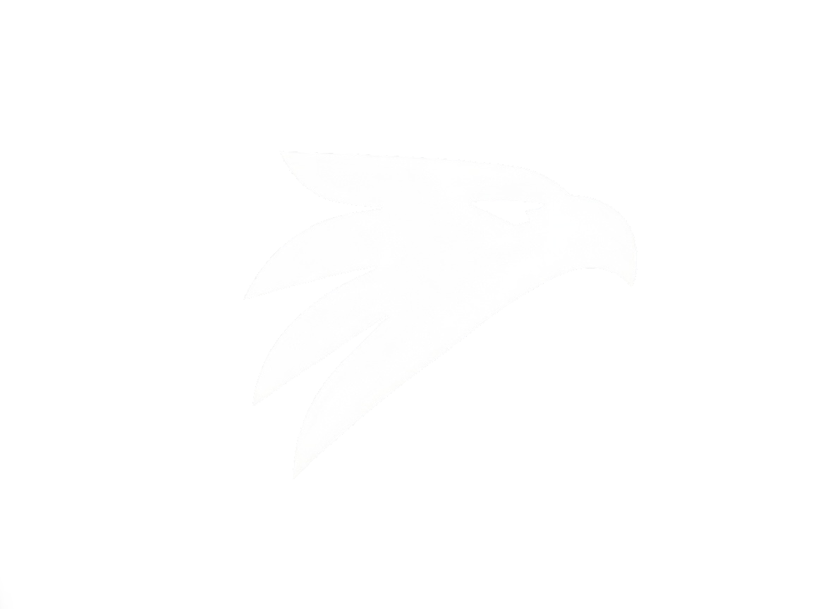 CodeMont Eagle Logo